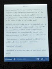 E-Book-Reader im Test: Kobo glo bringt Licht ins Dunkel