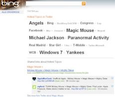 Screenshot: Ergebnisse bei Bing