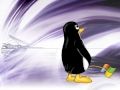 tux_wallpaper_by_kdaver_s