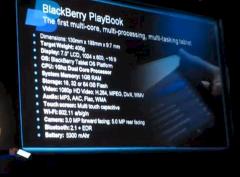 RIM Blackberry Playbook Tablet Details Akku
