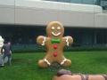 Google Android 3.0 Gingerbread