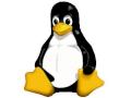Linux hat Geburtstag
