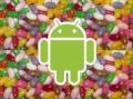 Jelly-Bean-Update: Android 4.1 fr Google Galaxy Nexus HSPA+