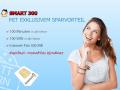 DeutschlandSIM Smart 300: 100 Minuten + SMS und 300 MB Daten fr 4,95 Euro