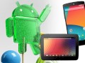 Android 5.0 wird fr Nexus-Smartphones und -Tablets ausgeliefert