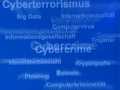 Die Cyberkriminalitt nimmt zu