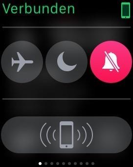 Screenshot Apple Watch - Status-Screen