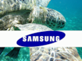 Turtle vs. Gorilla: Samsung plant Alternative zum Gorilla Glass