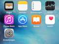 Die Health-App auf dem iOS-Homescreen