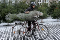 Weihnachtsbaum-Transport per Fahrrad? Das Internet kann Abhilfe schaffen.