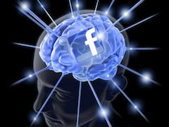 Facebook im Gehirn