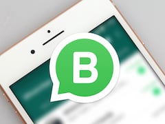 WhatsApp Business fr iOS ist unterwegs
