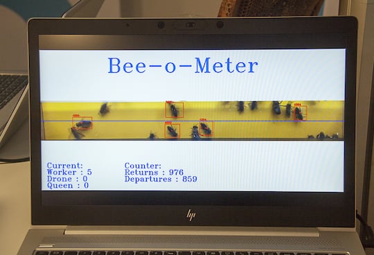 Das Bee-o-Meter knnte helfen, Probleme von Bienenvlkern abzuhalten.