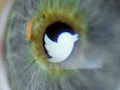 Twitter rumt mgliche unerlaubte Datenweitergabe ein