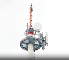 Gndelwangen (Schwarzwald): Vom Mast der BDBOS funkt jetzt auch die Telekom.