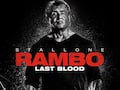 Auch Rambo ist ein Opfer illegaler Downloads
