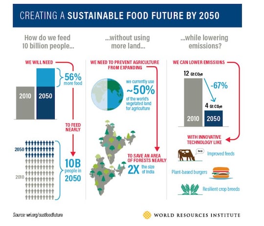 Bis 2050 gibt es eine groe Nahrungsmittellcke, sagt das WRI.
