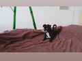Video-Sequenzierung in Instagram Story