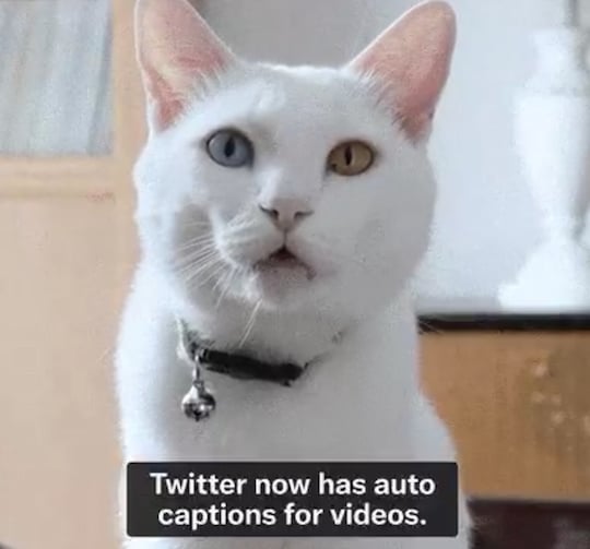 Twitter kndigt automatische Untertitel an