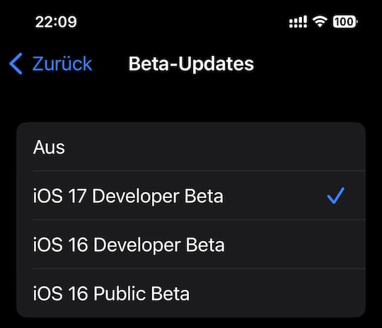 iOS 17 Developer Beta im Men fr die Beta-Updates