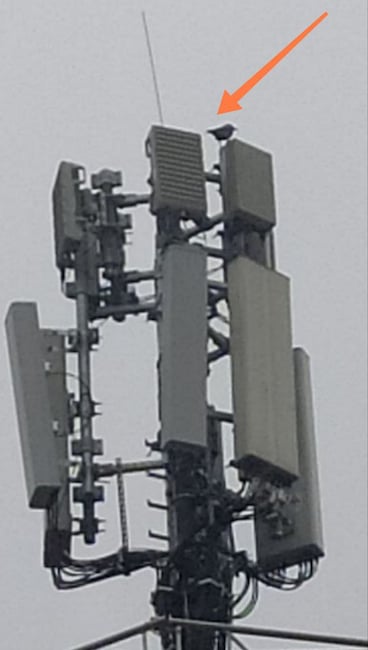 Berlin Innsbrucker/Badensche Strae: Ein Vodafone Mast verschwand ber Nacht und kehrte mit 1&1-Antennen (Pfeil) wieder. Sie senden aktuell noch nicht