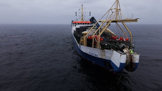 Auf 800 Kilometern wurde das neue Glasfaserkabel in den Meeresboden der Ostsee vergraben. Insgesamt kostet die neue Verbindung zwischen Skandinavien und Deutschland 60 Millionen Euro.