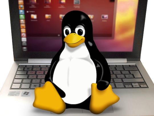 Linux-Maskottchen Tux
