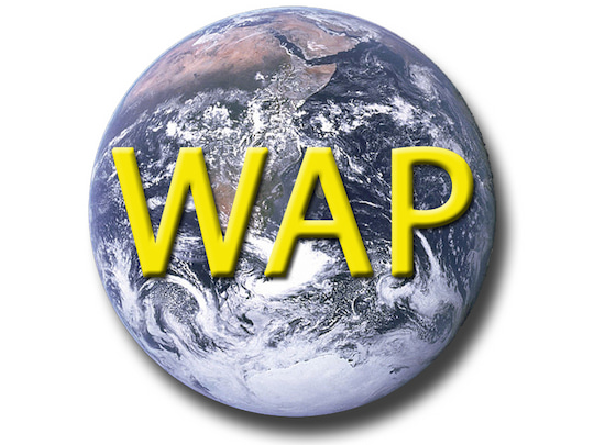 WAP: Das Wireless Application Protokoll