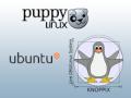 Linux-Live-Systeme zum Surfen und Arbeiten